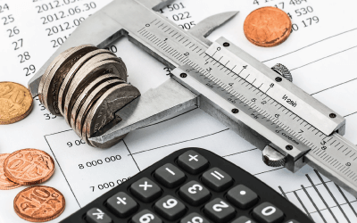 The Mid Term Budget Speech
